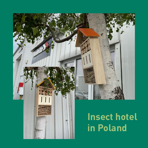 hostel_insect.png